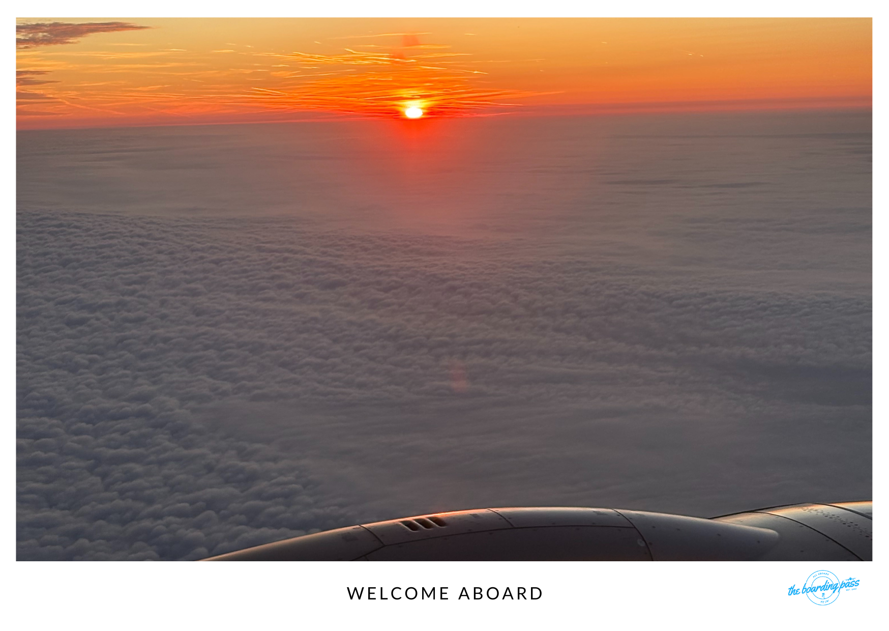 Calling All New Readers In Economy Or First Class