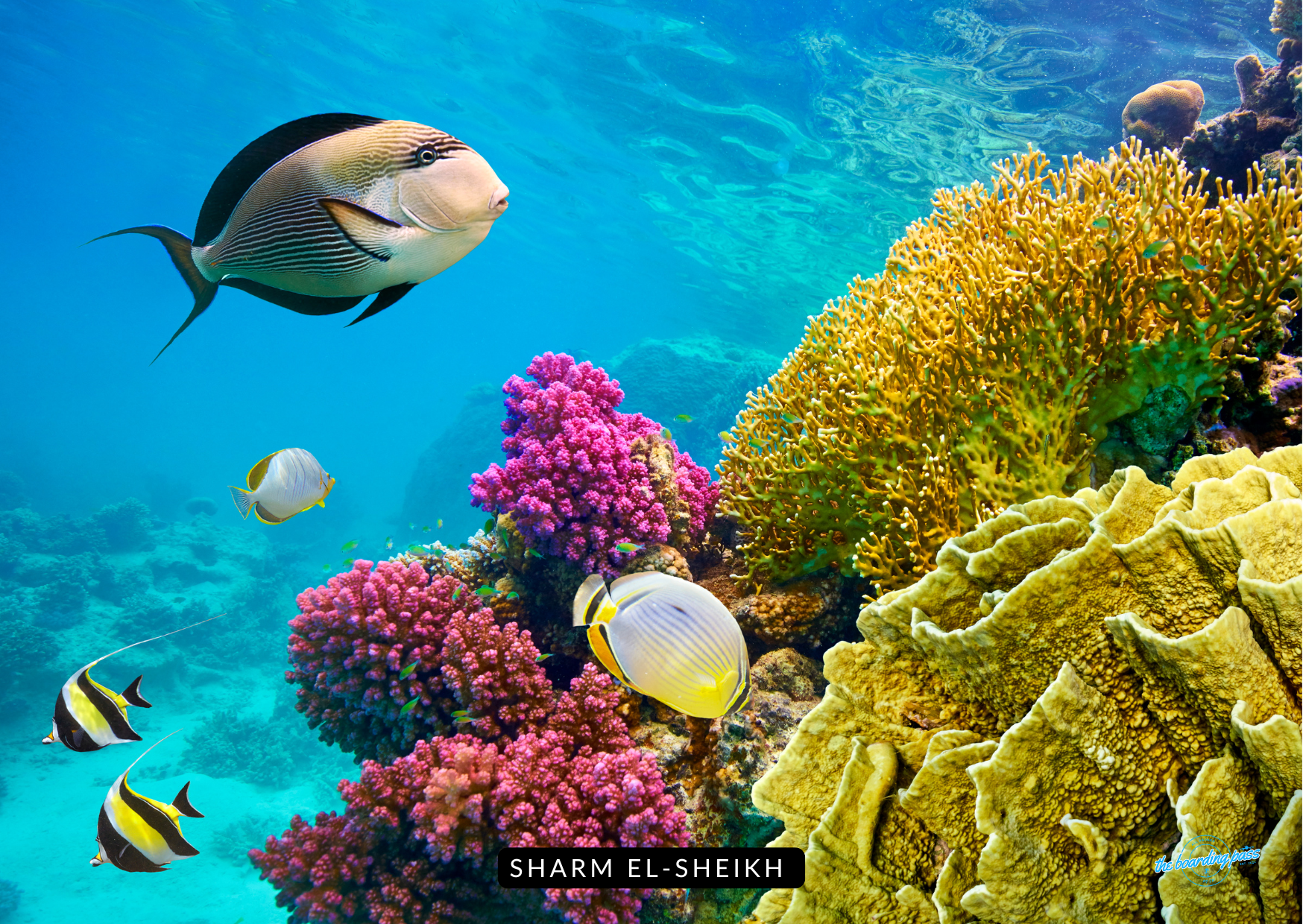 The Best Winter Sun Holidays 2026 From the UK