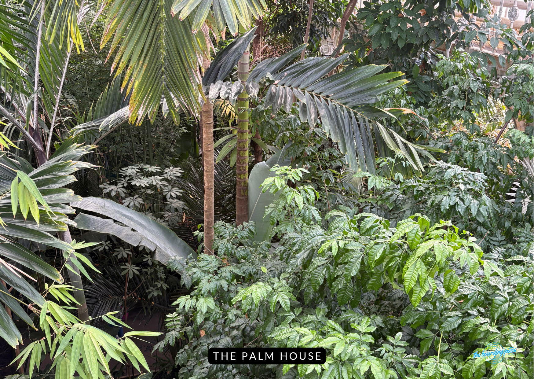 the Palm House Kew Gardens is the world’s oldest surviving Victorian glasshouse