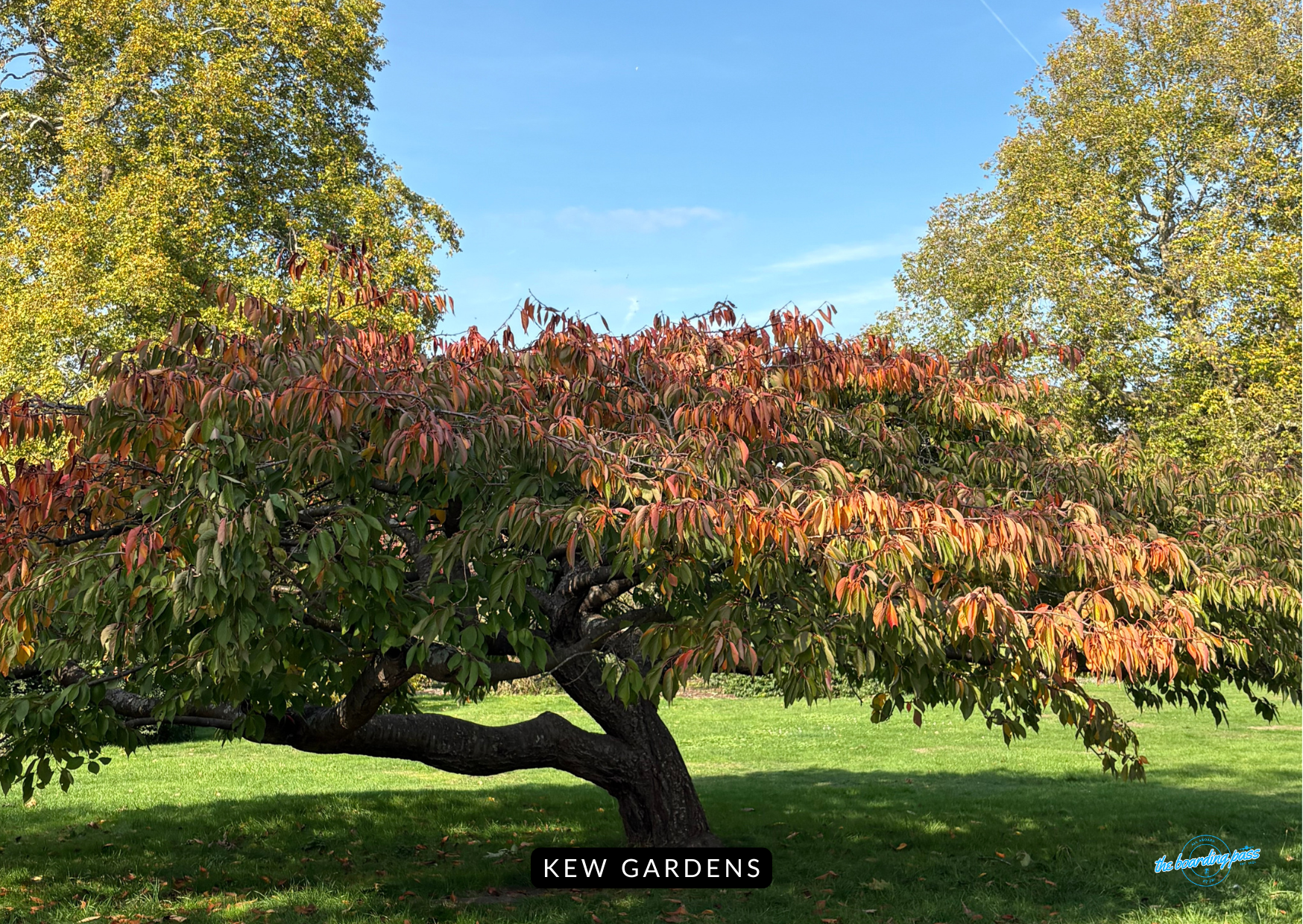 history of Kew Gardens